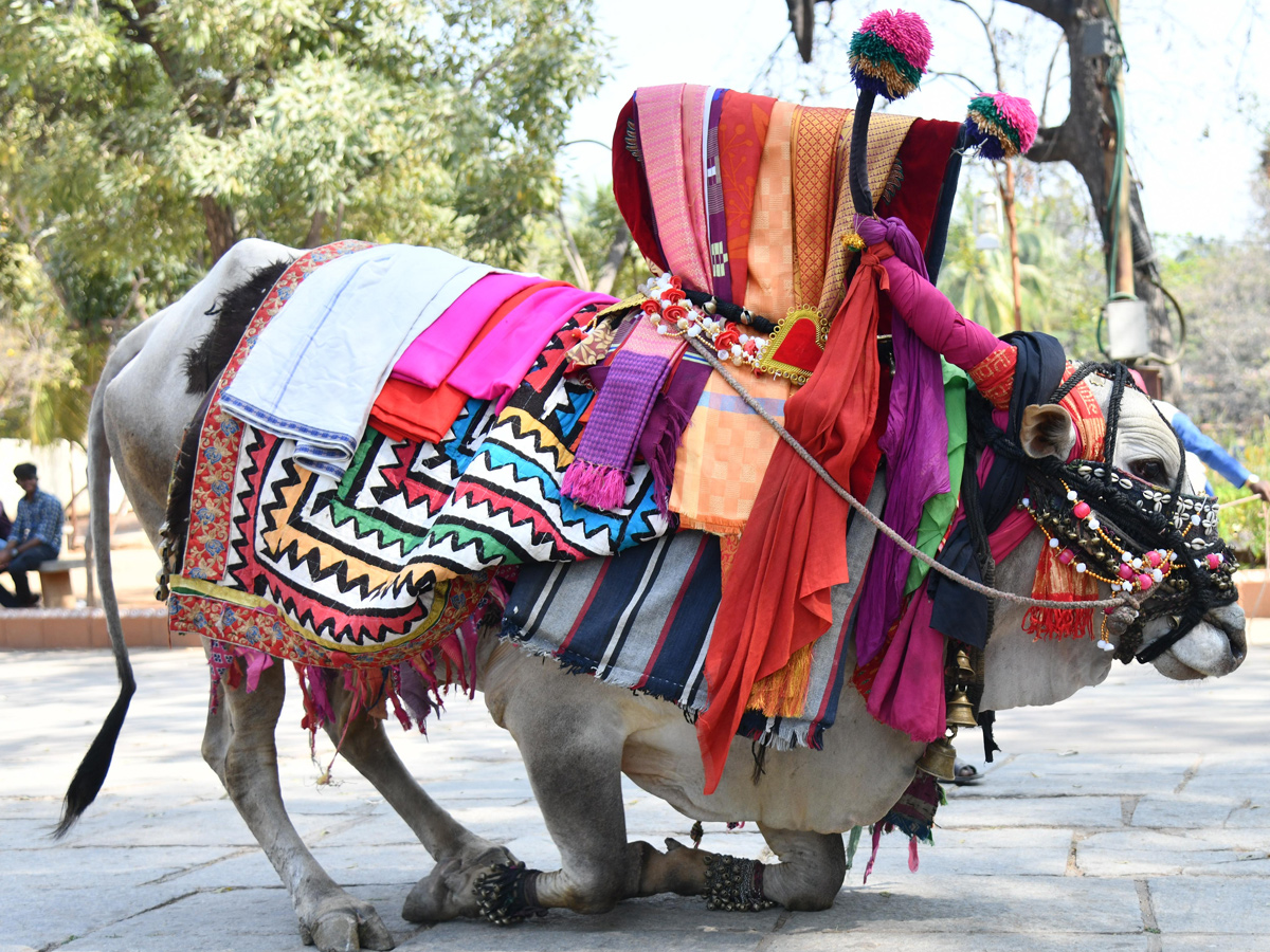 Sankranti Celebrations at Shilparamam Photos12