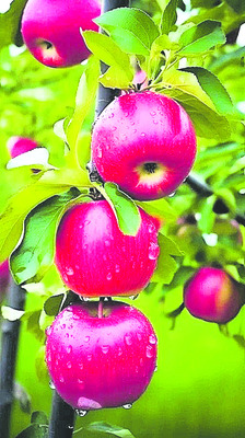 సమ్‌థింగ్‌ స్పెషల్‌3