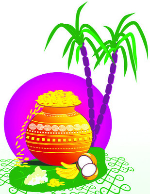 పండుగలా సాగు3