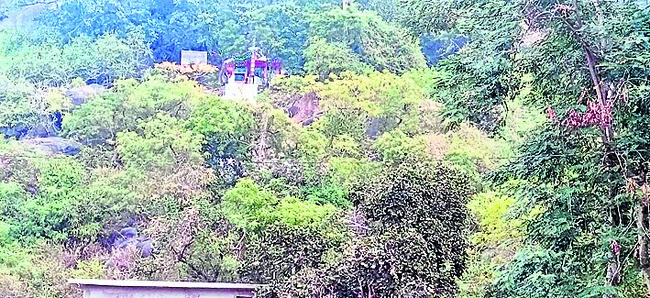 సర్వం సిద్ధం1