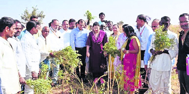నాగేంద్రకు భారీ ఊరట..  ముందస్తు బెయిల్‌ మంజూరు1