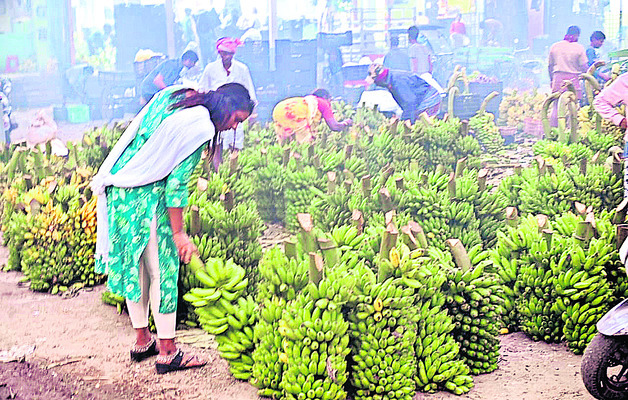 సంక్రాంతి.. సంబరం5