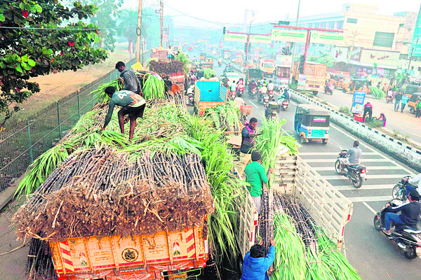 ఘనంగా పొంగల్‌ వేడుకలు 2