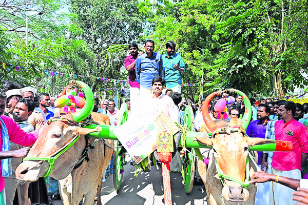 ఘనంగా పొంగల్‌ వేడుకలు 5