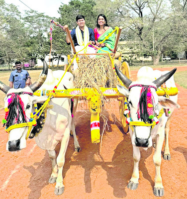 పందెం కొట్టిన కోడి4