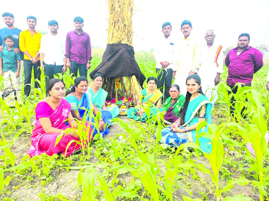 పండుగొచ్చింది7