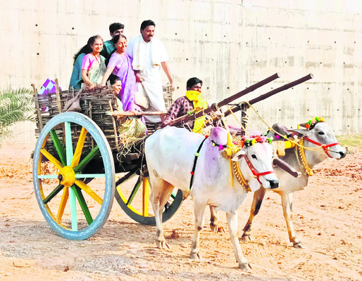 శ్రీవారి కొండపై సంక్రాంతి సంబరాలు 3