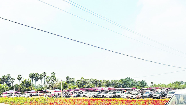 బరితెగించారు..!4