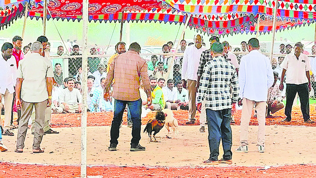 బరితెగించారు..!6