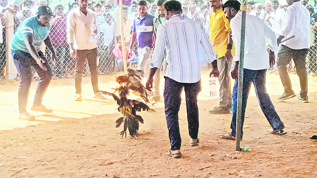 బరితెగించారు..!5