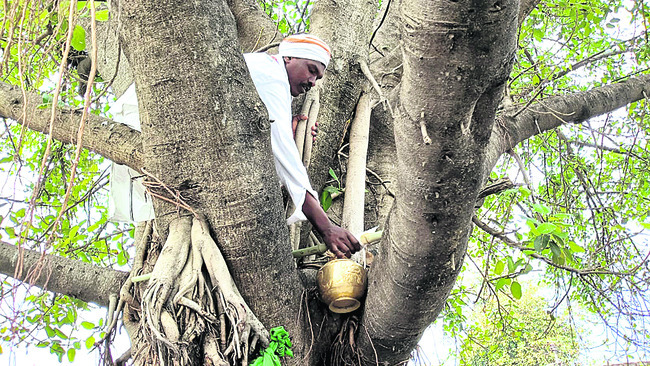 ఇంద్రాదేవికి మెస్రం వంశీయుల పూజలు1