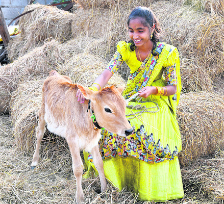 సంబురాల సంక్రాంతి2