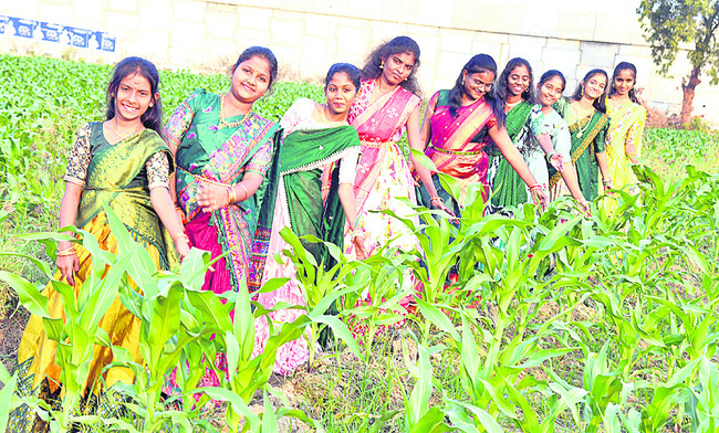 సంబురాల సంక్రాంతి1