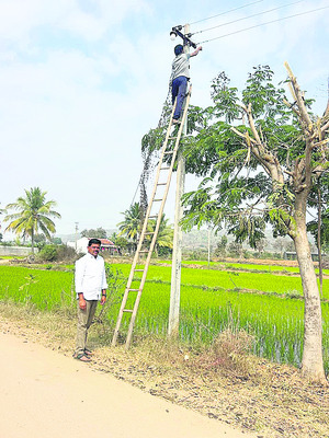 పండుగ పూట వెలుగులు1