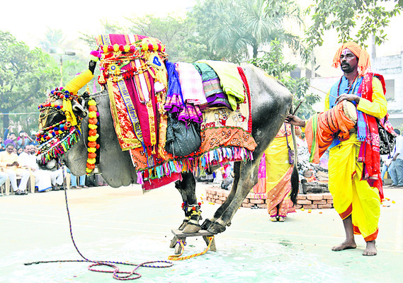 నగరంలో పల్లె సోయగం2