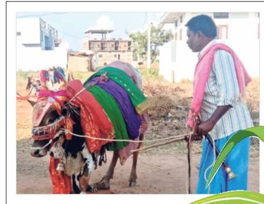 మహబూబ్‌నగర్‌1