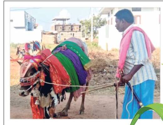 నాగర్‌కర్నూల్‌1