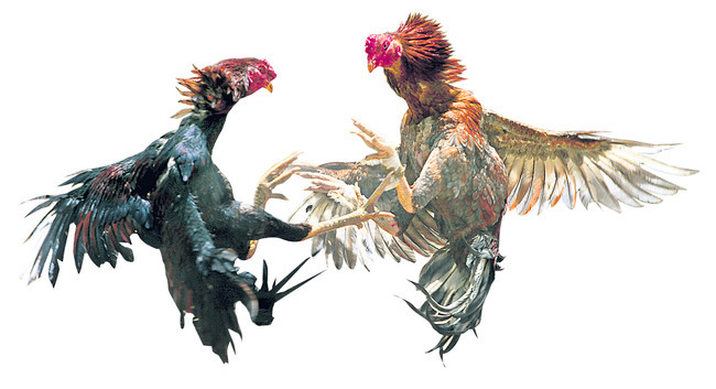 సరిహద్దుల్లో సందడి1