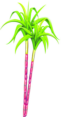 సంక్రాంతి సందడి 3