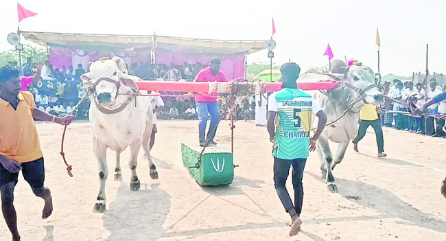 జోగుళాంబ గద్వాల1