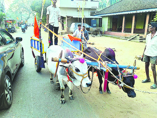 ● కనులవిందుగా.. 2