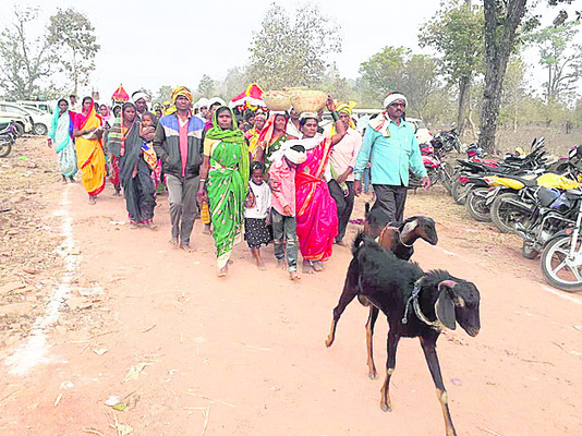 జంగుబాయి క్షేత్రంలో జన జాతర2
