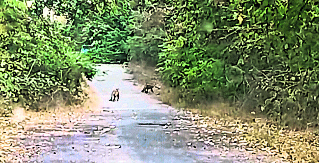 ఉద్యోగ నియామకాలకు దరఖాస్తుల ఆహ్వానం  1