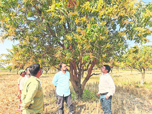 జాతర ఆహ్వాన పత్రిక   అందజేత3