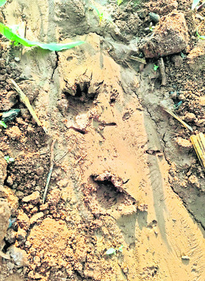 తుది ఓటరు, పోలింగ్‌ కేంద్రాల జాబితా విడుదల4