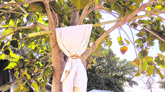 ఓవర్‌ టు మర్రిచెట్టు1