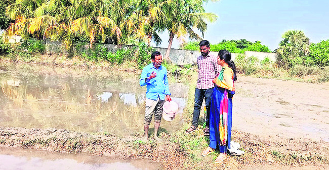 రైతన్న మొగ్గు1