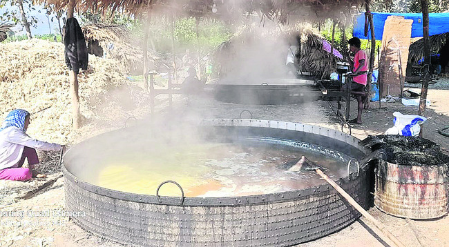 రైతు ఇంట బెల్లం పంట1