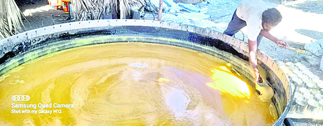 రైతు ఇంట బెల్లం పంట1