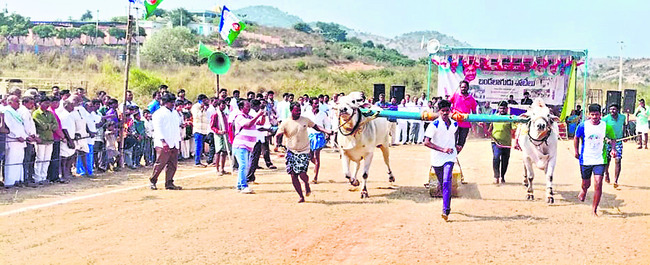 పండగ వెలుగు1