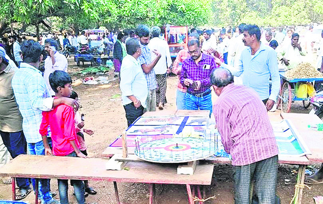 రెక్కలు విప్పిన పందెం కోళ్లు1