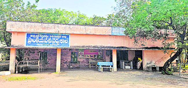 మూగ రోదన..తీరని వేదన 1