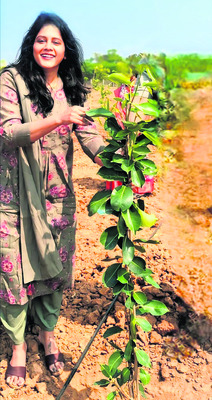 19న వేమన  జయంతి వేడుకలు 1