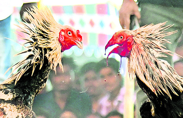 జూద క్రాంతులు! 1