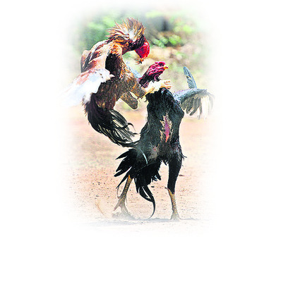 అంతా మా ఇష్టం3