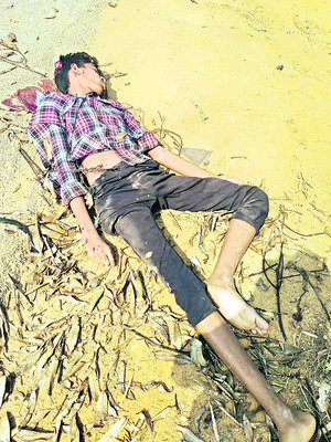 రేపటి నుంచి పంచాయతీల్లో ఉచిత పశువైద్య శిబిరాలు 1