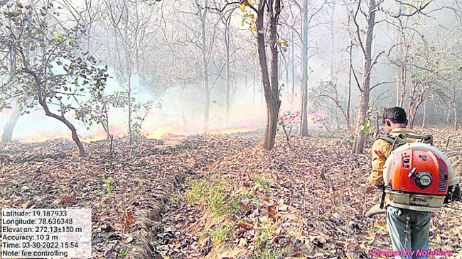 అడవిలో అగ్గి రాజుకోకుండా..1