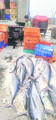 ● ఎటూ చూసినా.. 
1