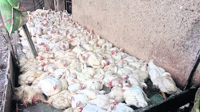 పద్మశ్రీ ఆదినారాయణ కన్నుమూత 1