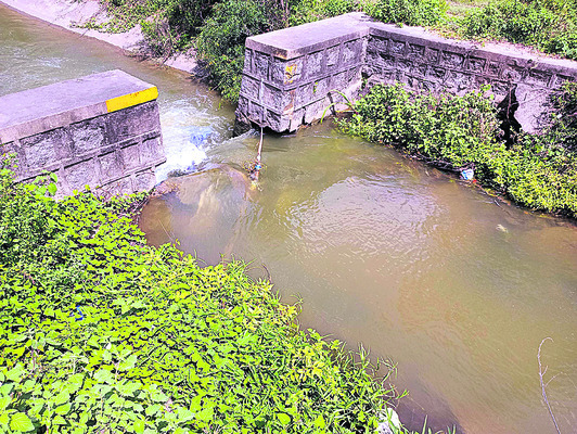 అధ్వానంగా ఎస్సారెస్పీ కాలువలు1