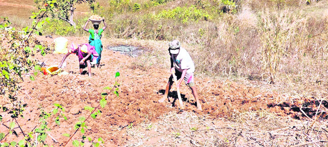 దళారుల లూటీ..1