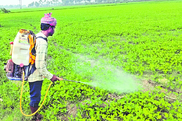 ఆరుతడి కోసం పాట్లు 1