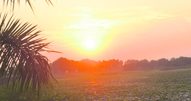 సోమవారం శ్రీ 19 శ్రీ జనవరి శ్రీ 20262