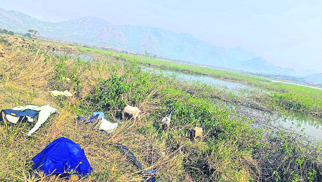 కనుమరుగవుతున్న కూర్మసాగరం1