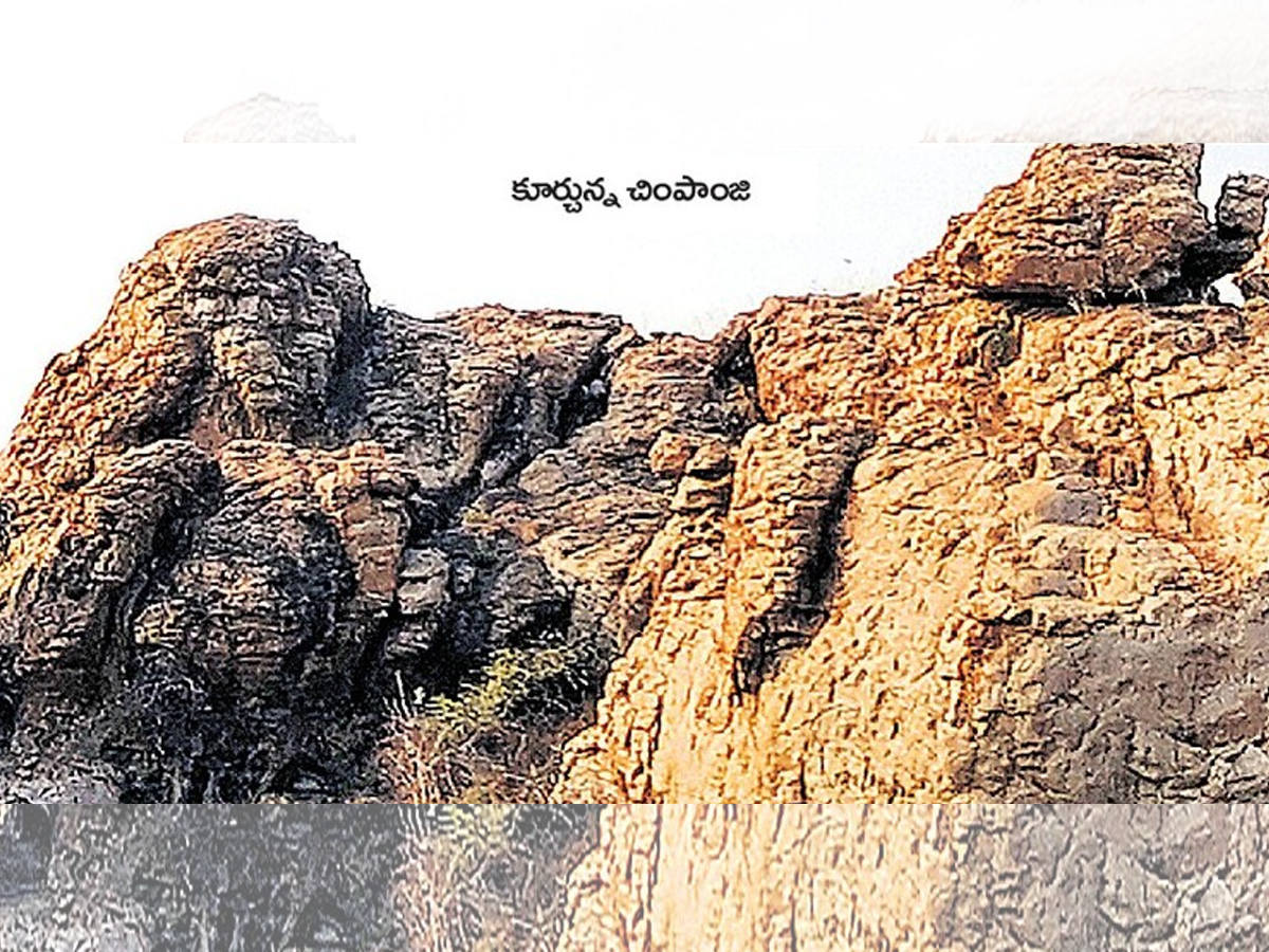 historical stone idols raathivanam in kurnool andrapradesh2