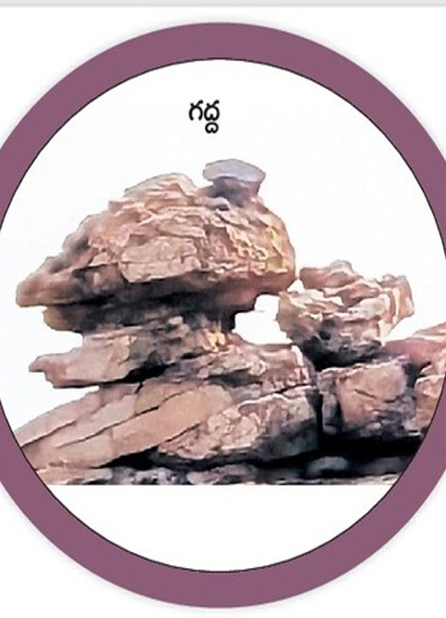 historical stone idols raathivanam in kurnool andrapradesh11